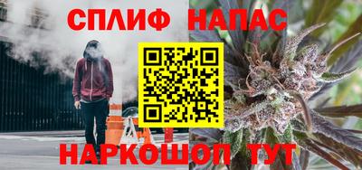 СК Ленинск-Кузнецкий