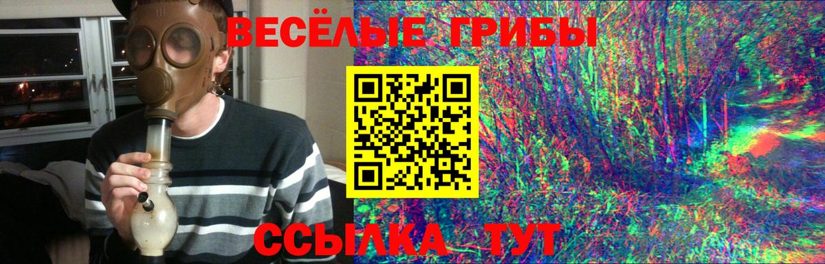 Касимов  Галлюциногенные грибы GOLDEN TEACHER  Вход с VPN 