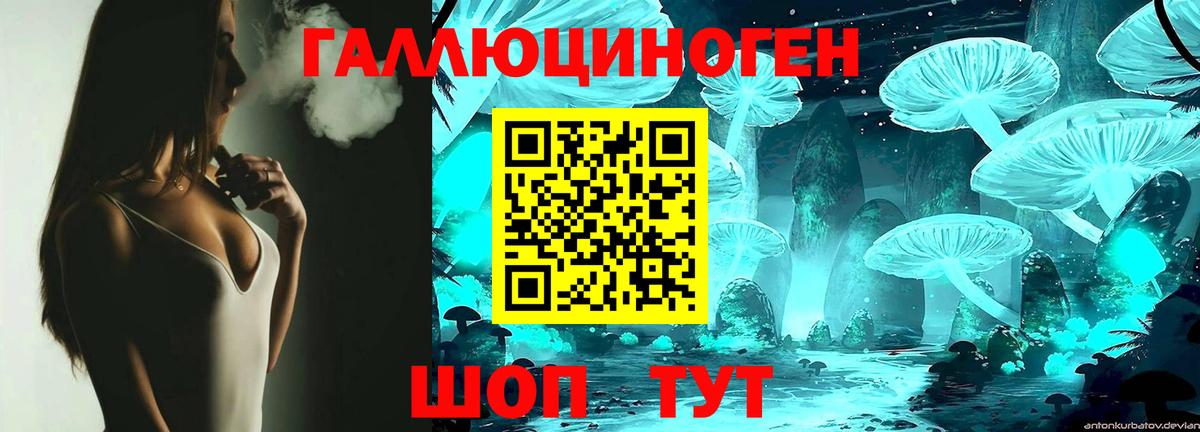 Псилоцибиновые грибы Psilocybe Касимов